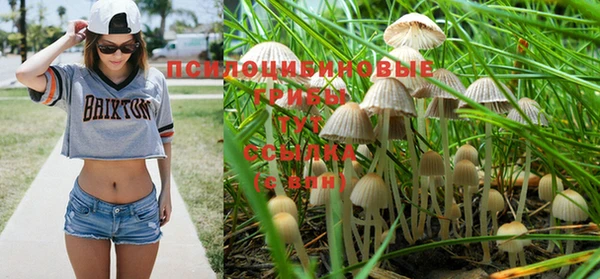 мдма Касимов