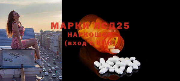индика Карталы