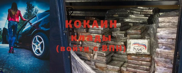 индика Карталы