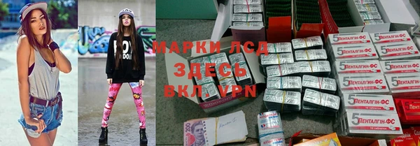 индика Карталы