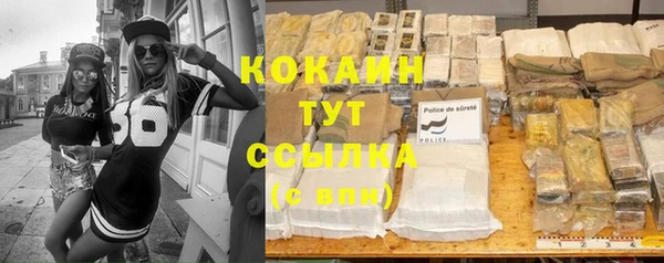 сатива Карпинск