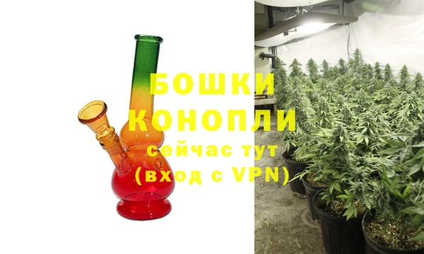 индика Карталы